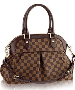 Louis Vuitton Damier Ebene Canvas Trevi PM N51997
