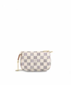 Louis Vuitton Mini Pochette Accessoires N58010