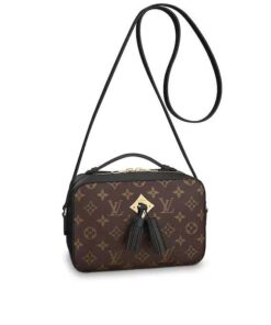 Louis Vuitton Saintonge M43555