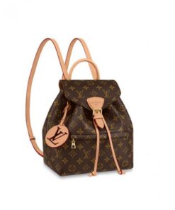 Louis Vuitton M45501 Montsouris PM