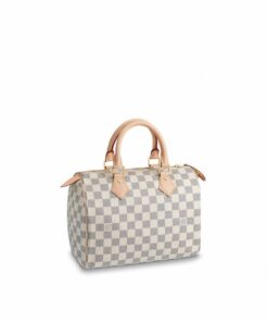Louis Vuitton Speedy 25 N41371