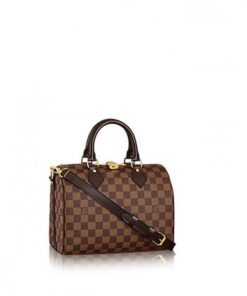 Louis Vuitton Damier SPEEDY 25 N41181