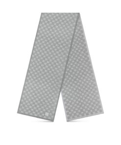 Louis Vuitton Light Grey M77989 Néo Petit Damier Scarf