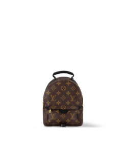 Louis Vuitton Monogram M44873 Palm Springs Mini