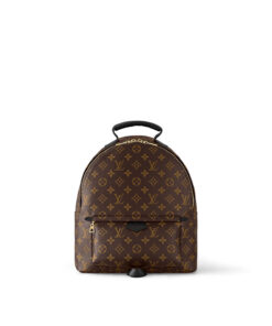 Louis Vuitton Monogram M44874 Palm Springs MM