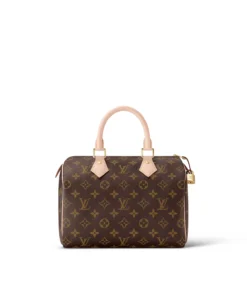 Louis Vuitton Speedy 25 M41109
