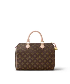 Louis Vuitton Speedy 30 M41108